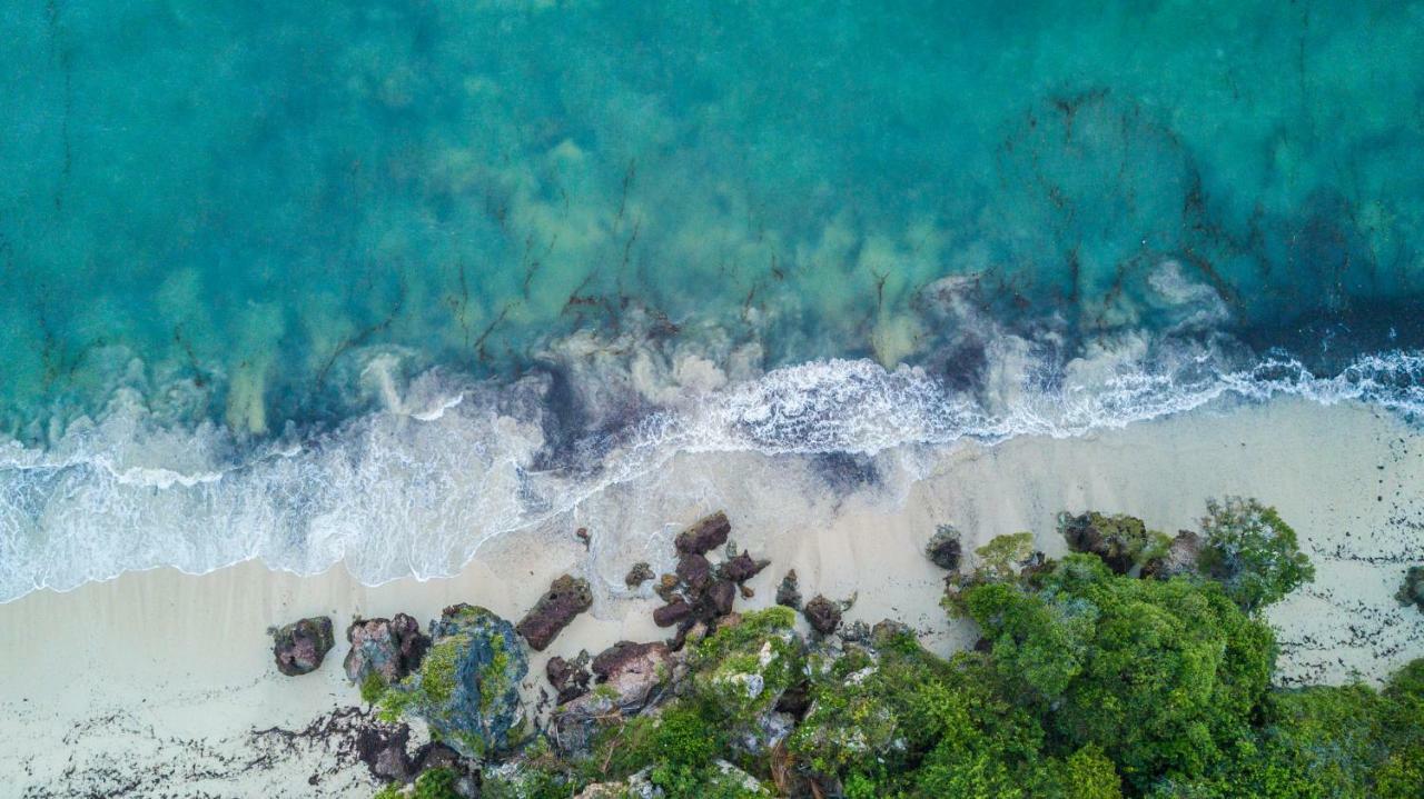 Msambweni Beach House Villa Екстериор снимка